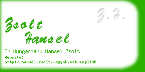 zsolt hansel business card